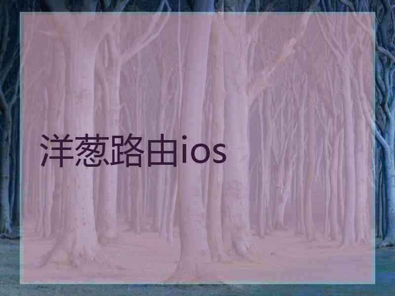 洋葱路由ios