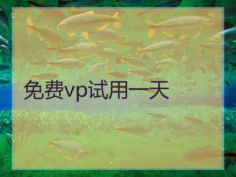 免费vp试用一天