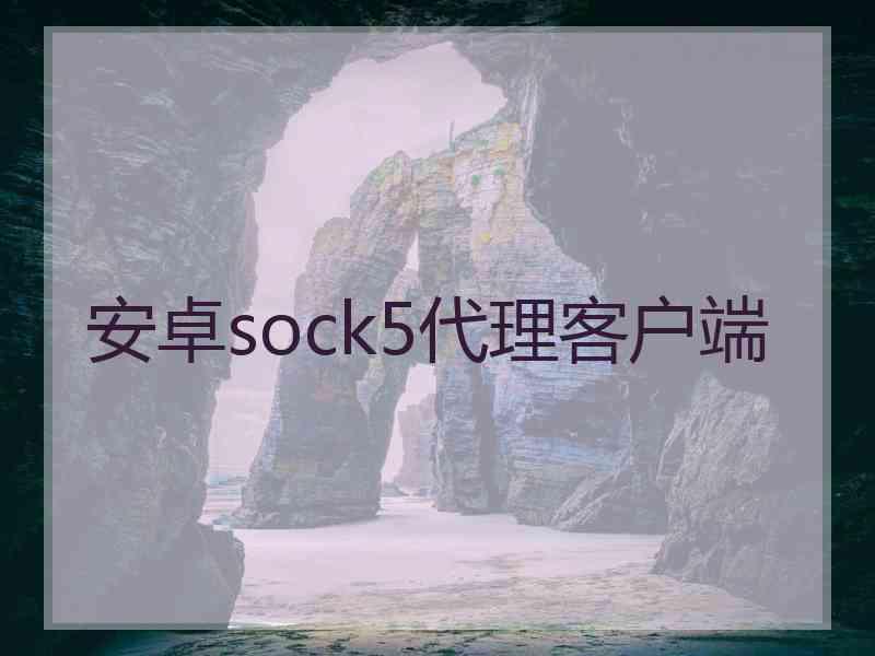 安卓sock5代理客户端