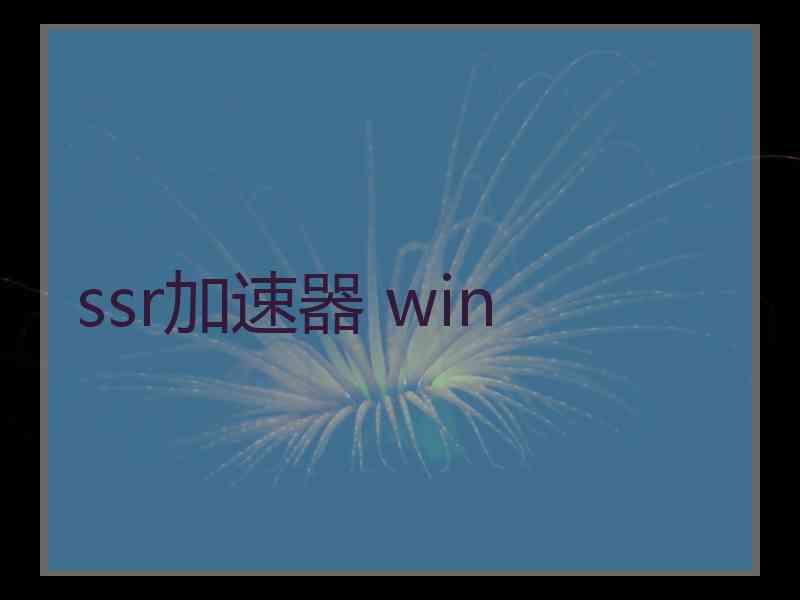 ssr加速器 win