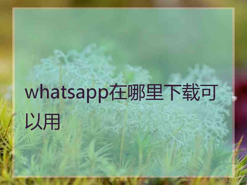 whatsapp在哪里下载可以用