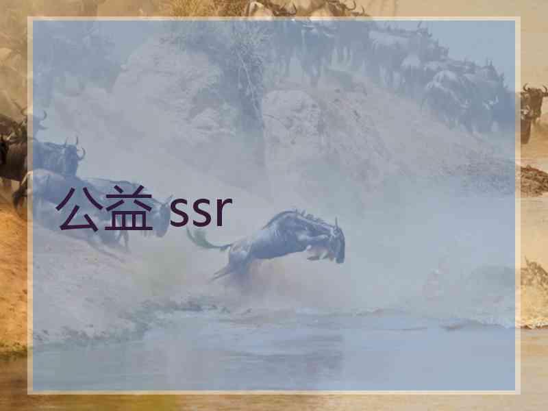 公益 ssr