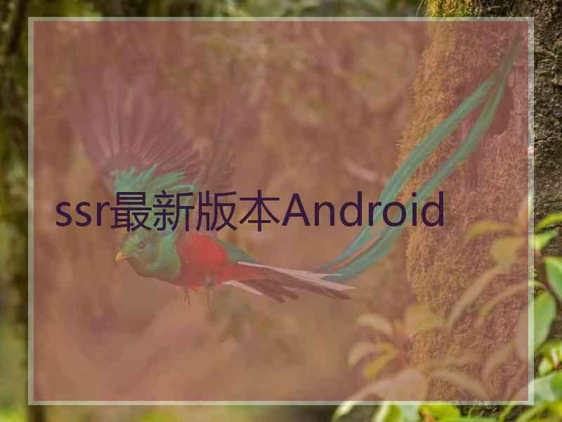 ssr最新版本Android