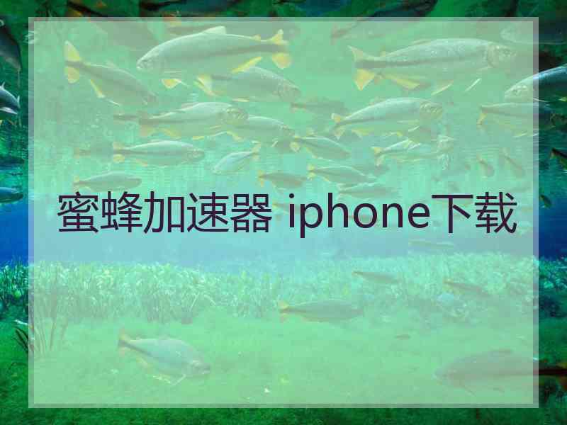 蜜蜂加速器 iphone下载