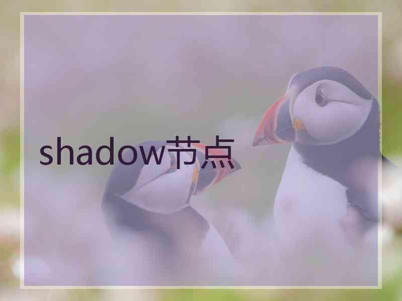 shadow节点