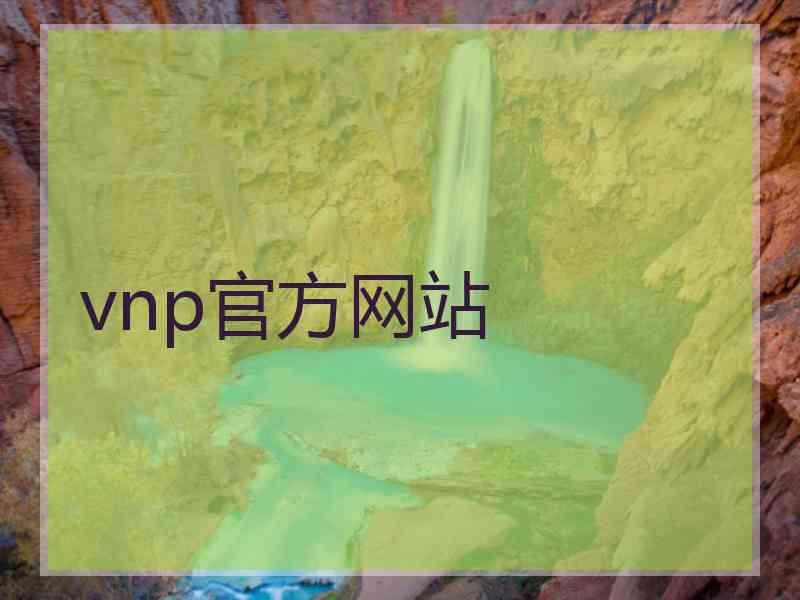 vnp官方网站