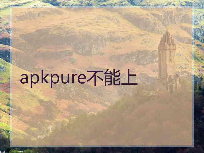 apkpure不能上