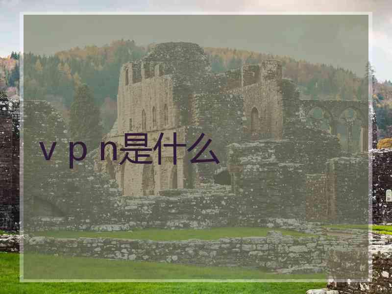 v p n是什么