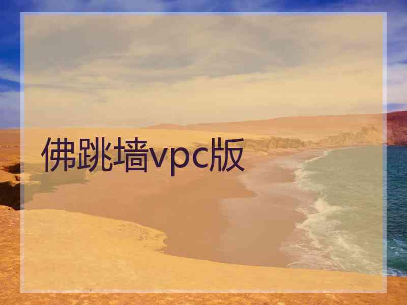 佛跳墙vpc版