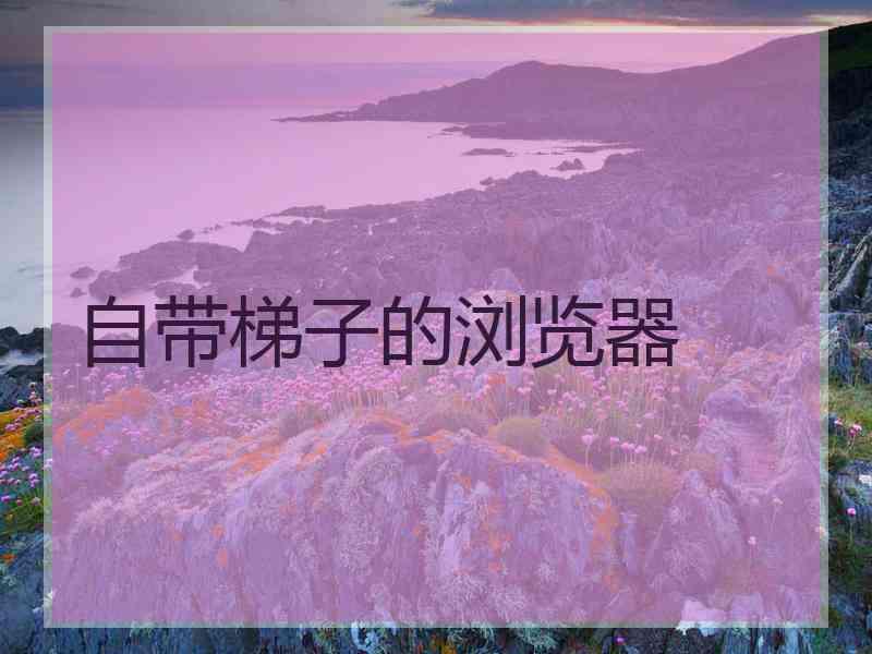 自带梯子的浏览器