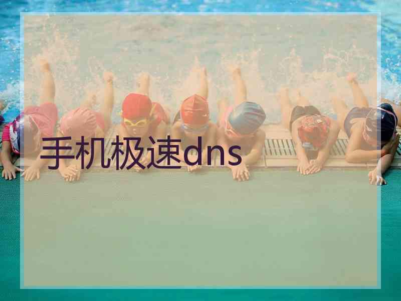 手机极速dns