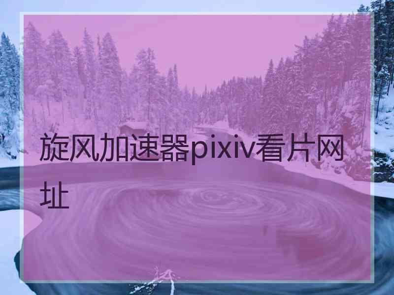 旋风加速器pixiv看片网址