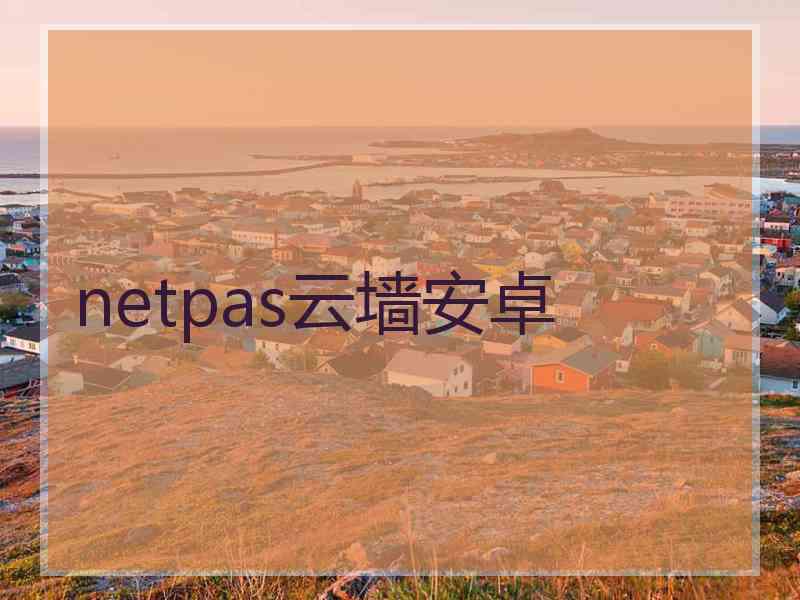 netpas云墙安卓