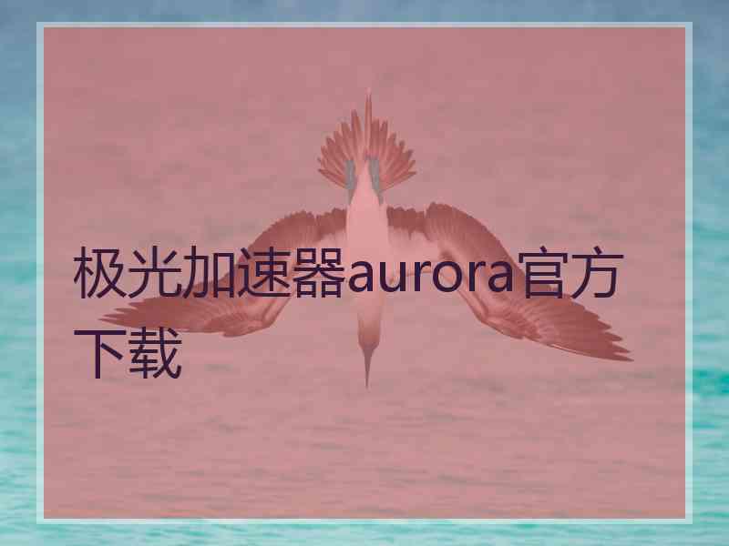 极光加速器aurora官方下载