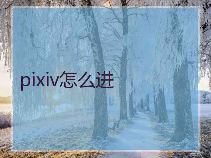 pixiv怎么进