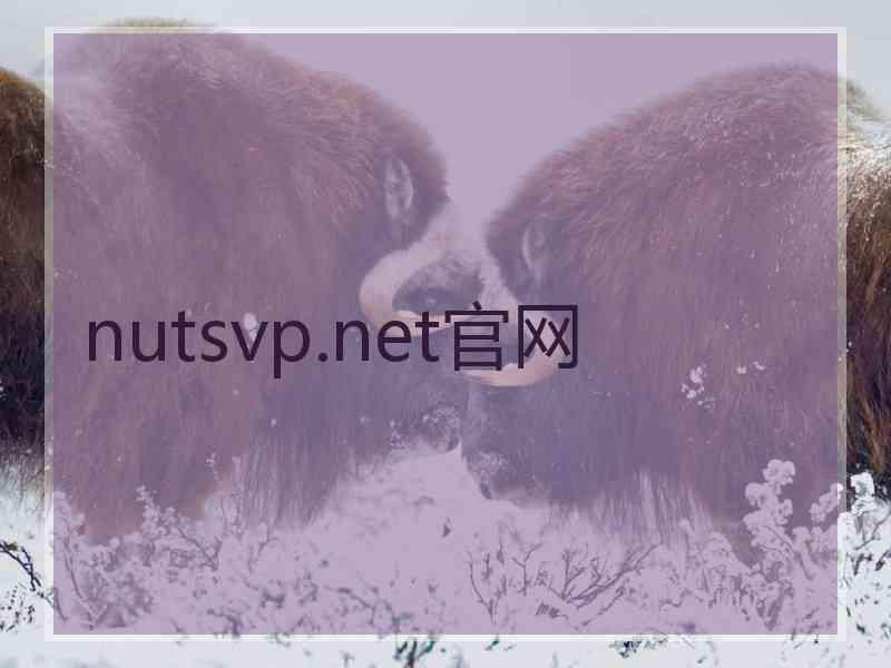 nutsvp.net官网