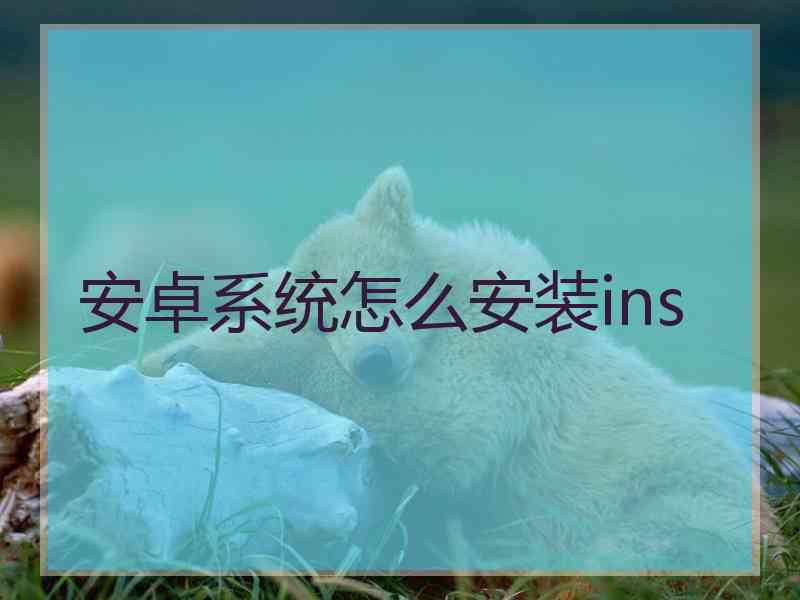 安卓系统怎么安装ins