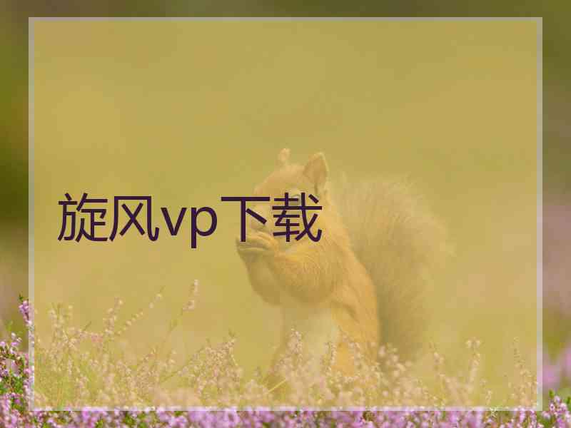 旋风vp下载