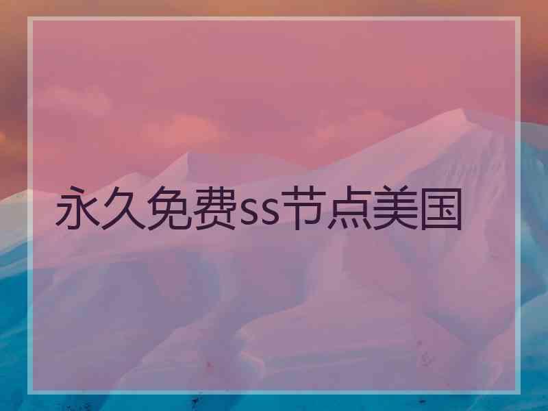 永久免费ss节点美国