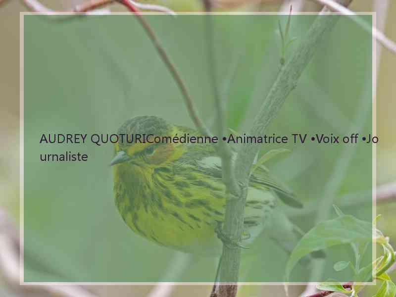 AUDREY QUOTURIComédienne •Animatrice TV •Voix off •Journaliste