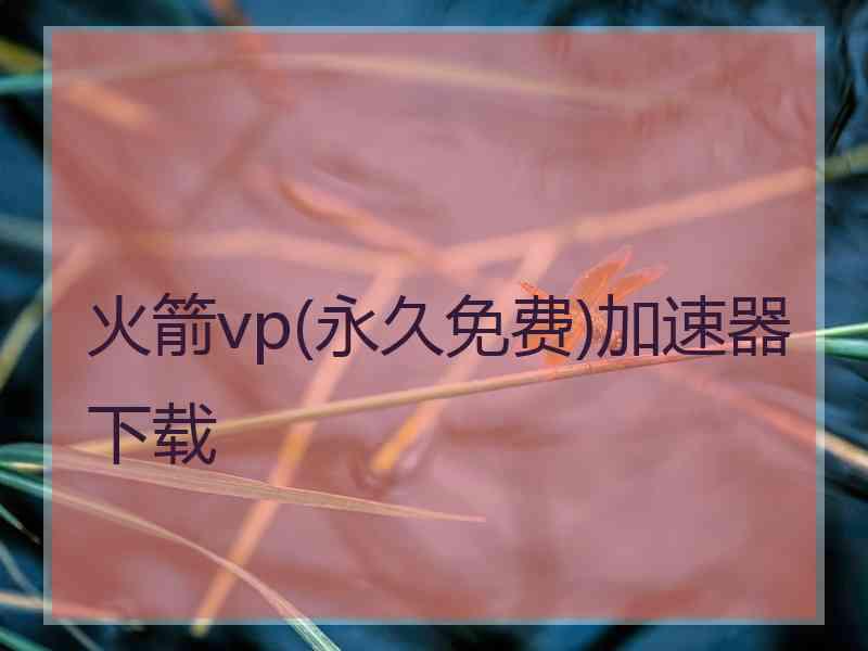 火箭vp(永久免费)加速器下载