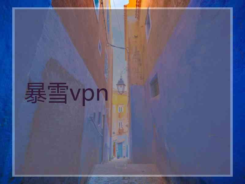 暴雪vpn