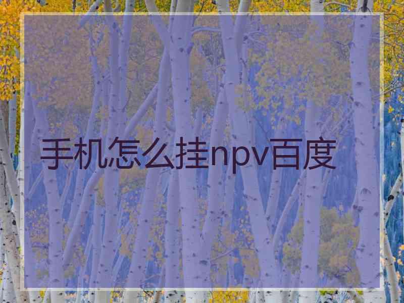 手机怎么挂npv百度