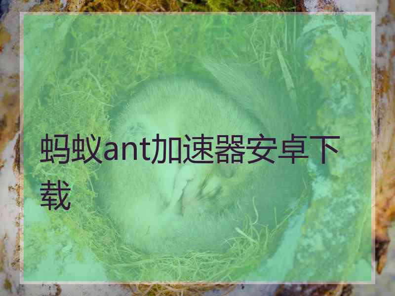 蚂蚁ant加速器安卓下载