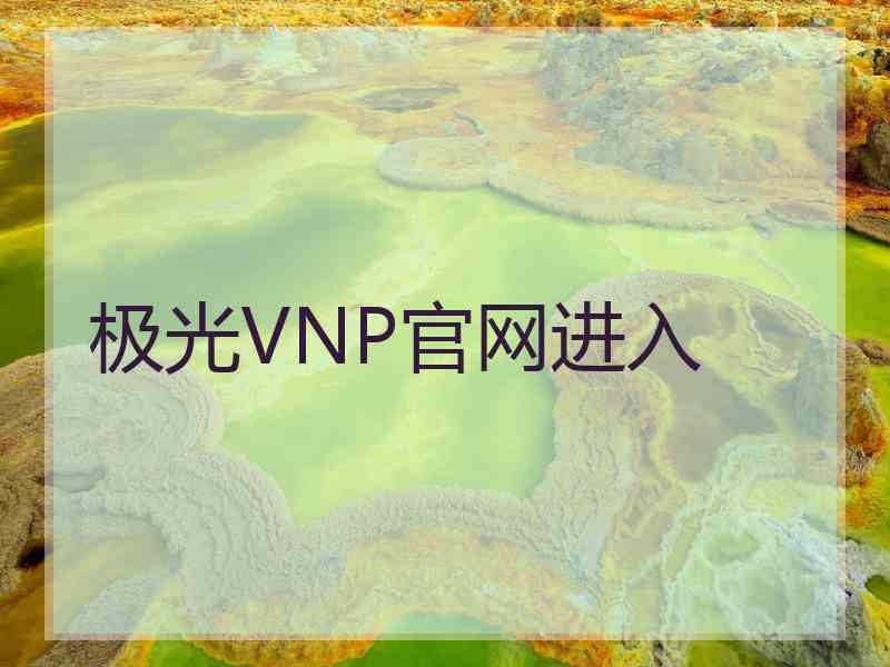 极光VNP官网进入