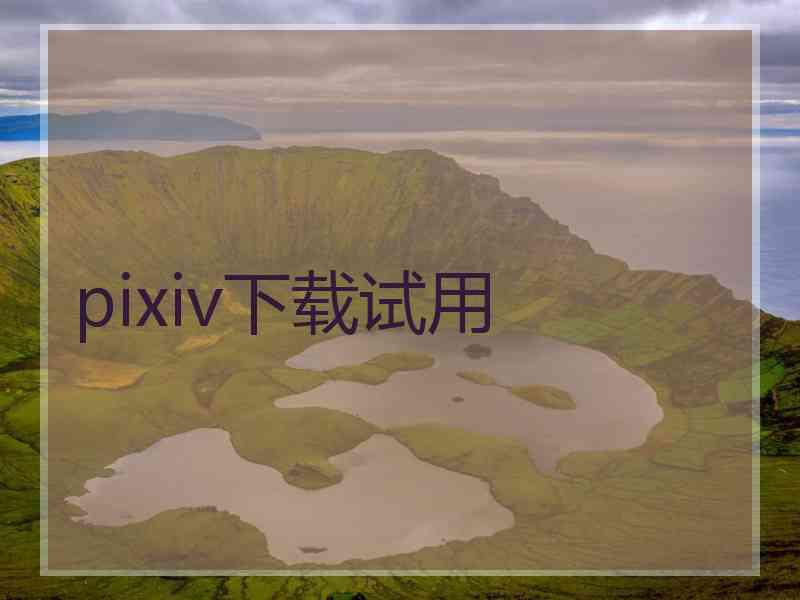 pixiv下载试用