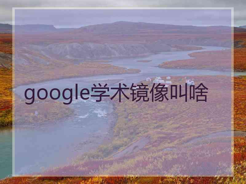 google学术镜像叫啥