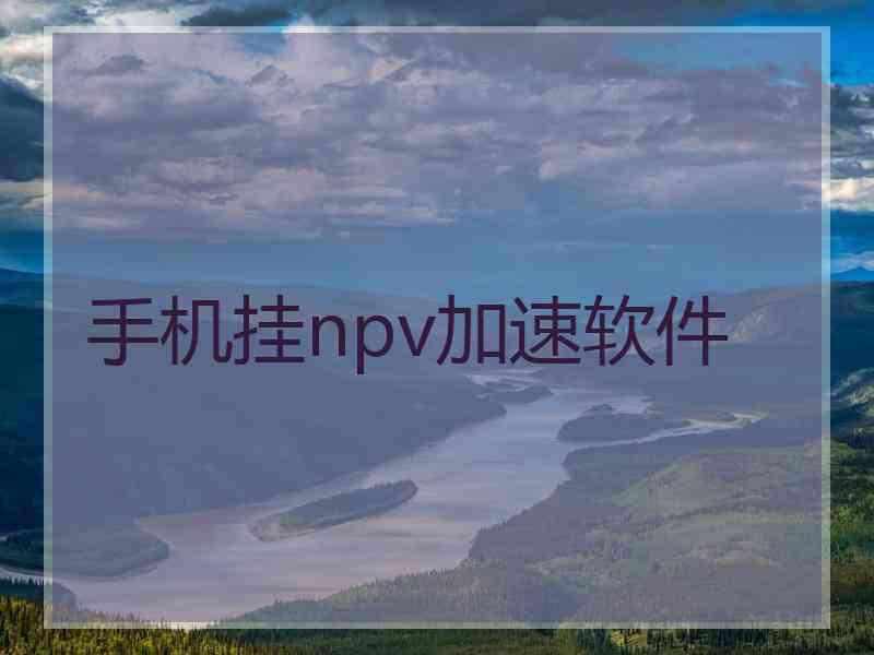 手机挂npv加速软件