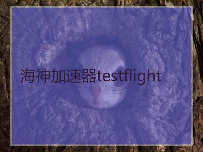 海神加速器testflight