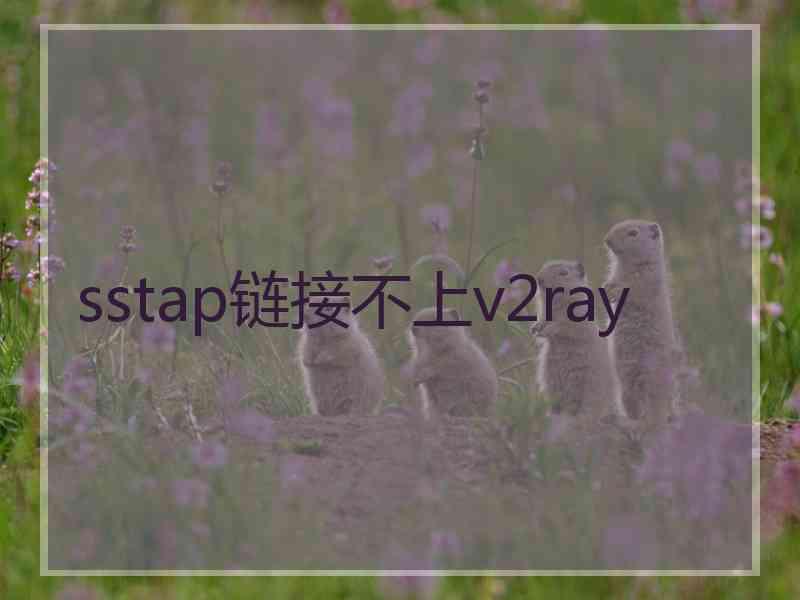 sstap链接不上v2ray