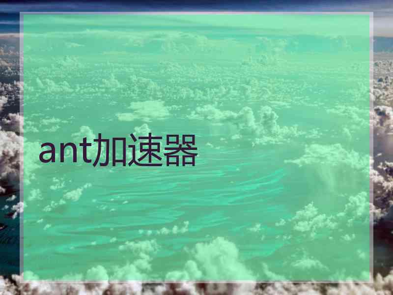 ant加速器