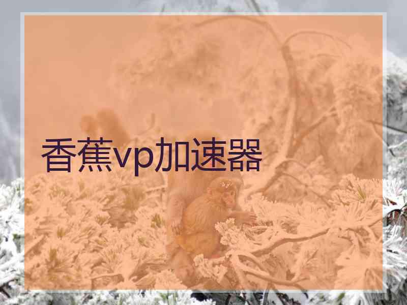 香蕉vp加速器