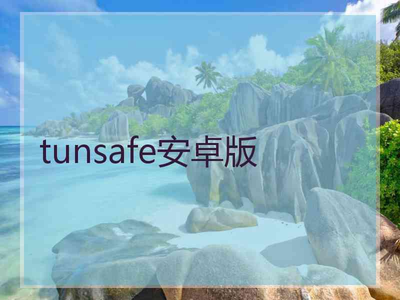 tunsafe安卓版