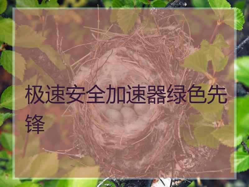 极速安全加速器绿色先锋