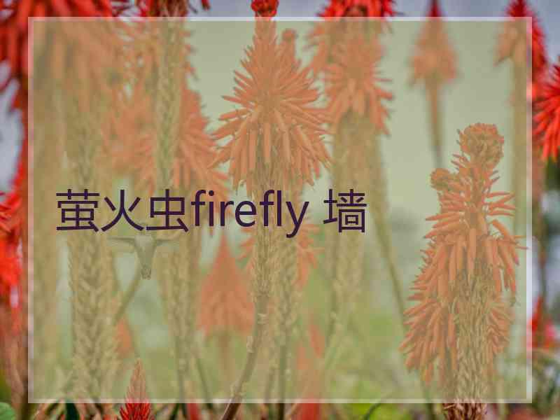 萤火虫firefly 墙