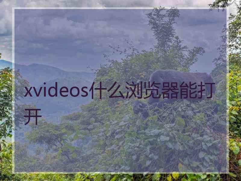 xvideos什么浏览器能打开