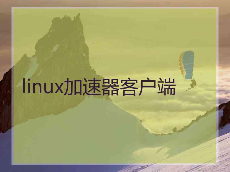 linux加速器客户端