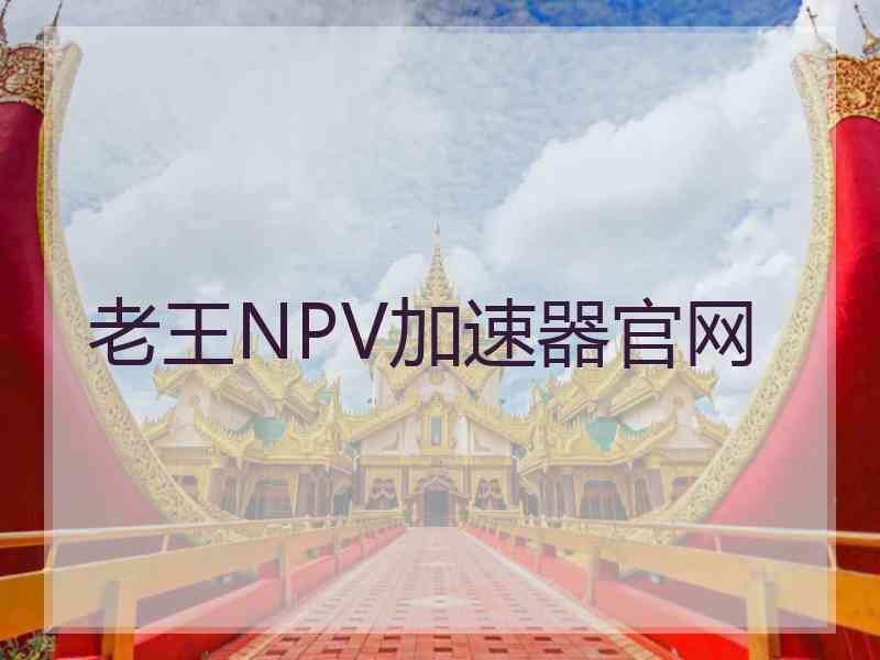 老王NPV加速器官网