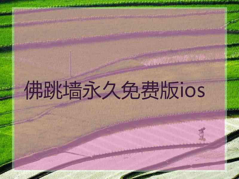 佛跳墙永久免费版ios