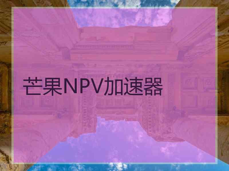 芒果NPV加速器