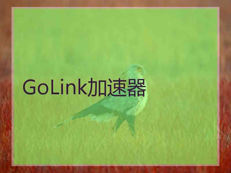 GoLink加速器