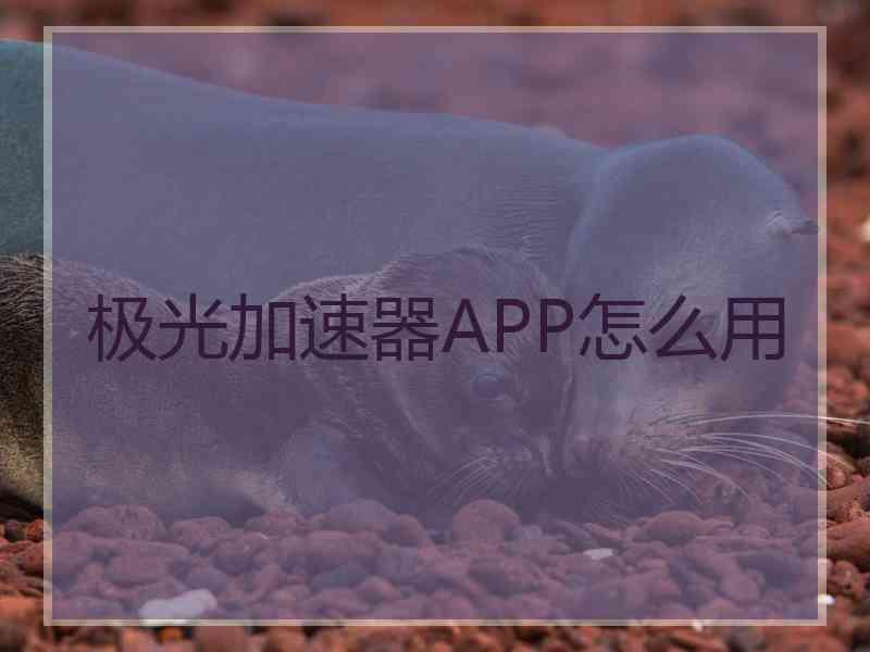 极光加速器APP怎么用