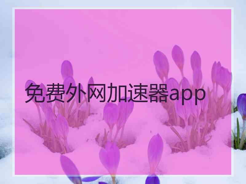 免费外网加速器app