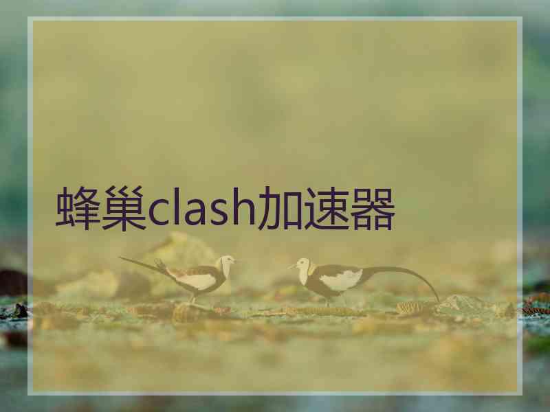 蜂巢clash加速器