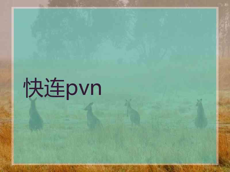 快连pvn