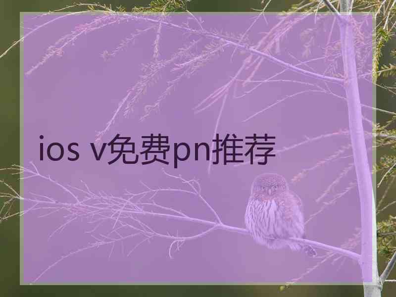 ios v免费pn推荐